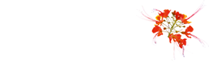 Luigi's Complex — Self-Catering Apartments in The Gambia